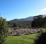 Hawksview at Mafeking - Accommodation VIC
