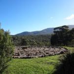 Hawksview At Mafeking - Accommodation VIC 0