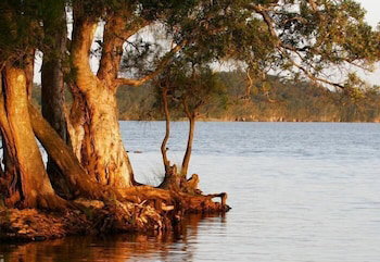 NRMA Myall Shores Holiday Park - Accommodation VIC 2