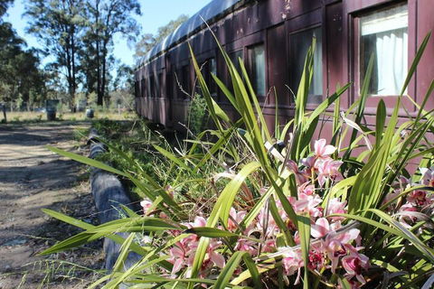 Krinklewood Cottage & Train Carriages - Accommodation VIC 2