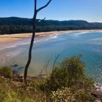 Ocean Beach Cottage - Accommodation VIC 0