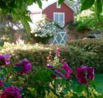 A Country Barn Retreat - Accommodation VIC