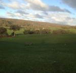 Mancuso Country Cottage Retreat - Accommodation VIC