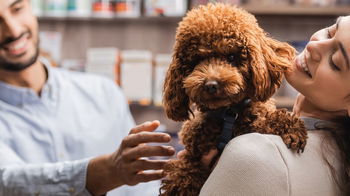 Tourism Listing Partner Vet Canberra