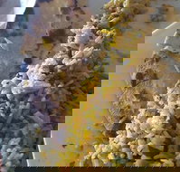 Horsham Masala Indian Restaurant - Accommodation VIC