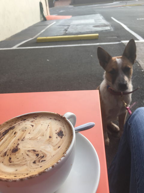 Open Book Cafe - Accommodation VIC 1