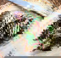 Frank and Connie's Kitchen - Accommodation VIC