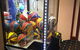 Kerang Sports And Entertainment Venue - thumb 0