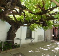 The Vine - Accommodation VIC