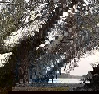 The Forest Door - Accommodation VIC