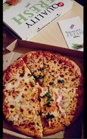 Domino's Pizza Kingswood - Accommodation VIC 0