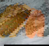 Chipp Inn - Accommodation VIC