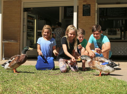 Arkarra Gardens Cafe And Restaurant - Accommodation VIC 2