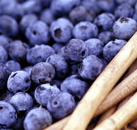 Drum Drum Blueberry Farm - Accommodation VIC