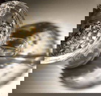 T Totaler - Newtown - Accommodation VIC