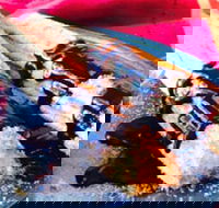 Donut King - Blackburn - Accommodation VIC