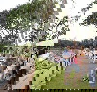 Darwin Ski Club - Accommodation VIC
