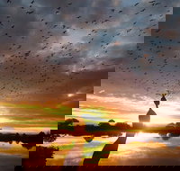 Old Lodge Gallery Emporium and River Cafe - Accommodation VIC