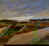 Baarmutha Wines - Accommodation VIC