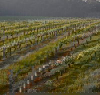 Cape Grace Wines - Accommodation VIC