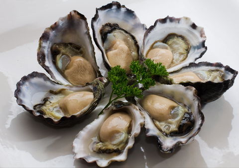 Tathra Oysters - Accommodation VIC 0