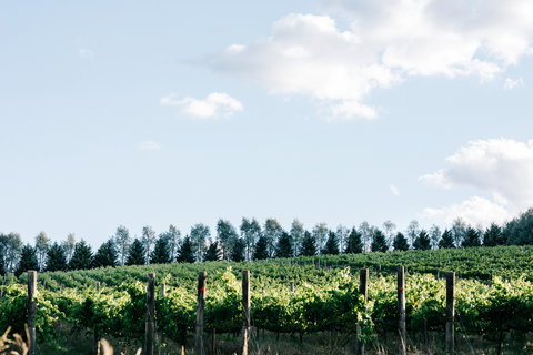 Passing Clouds - Accommodation VIC 1