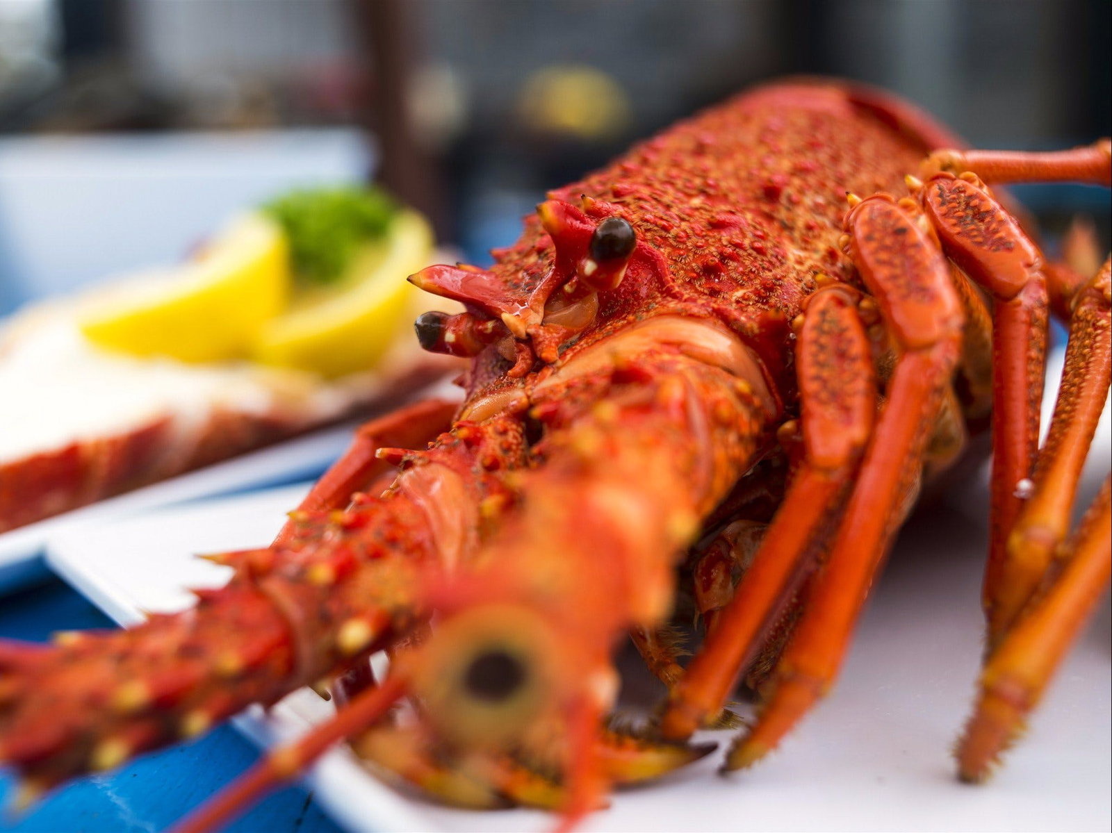 Coles Bay TAS Accommodation VIC