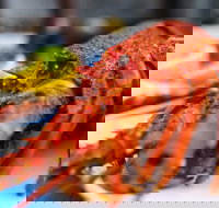 Freycinet Marine Farm - Accommodation VIC