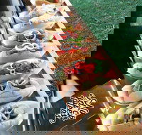 Balter Brewing Company - Accommodation VIC