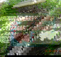 Lavender and Berry Farm Cafe - Accommodation VIC