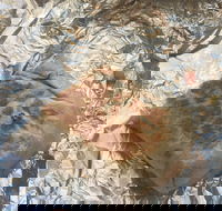 Mad Mex Fresh Mexican Grill - Accommodation VIC