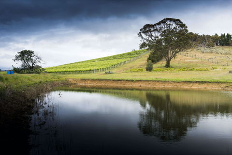 Mount Majura Vineyard - Accommodation VIC 1