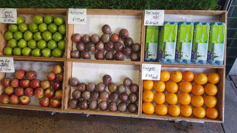Melonhead - Accommodation VIC 0