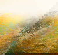 Poonawatta - Accommodation VIC