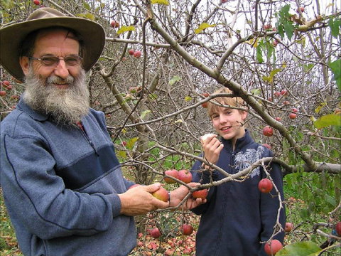 Pine Crest Orchard - Accommodation VIC 0