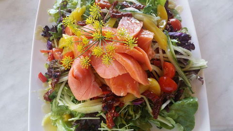 Thurlby Herb Farm Cafe - Accommodation VIC 0