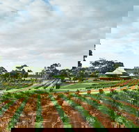 Vasse Felix Winery - Accommodation VIC