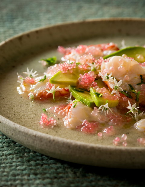 Foragers - Accommodation VIC 0