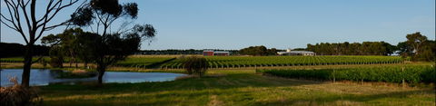 McGlashans Wallington Estate - Accommodation VIC 0