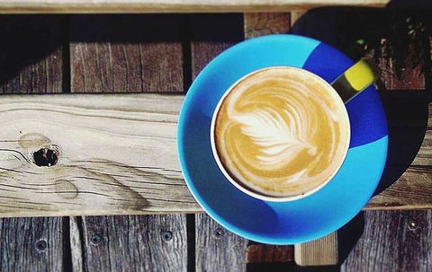 Lush Coffee Lounge - Accommodation VIC 16