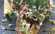 Gather And Feast - thumb 6