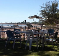 Darwin Ski Club - Little Miss Chef - Accommodation VIC