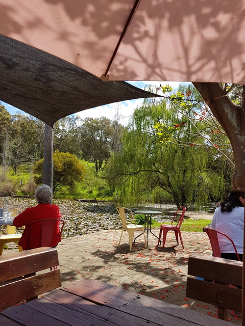 Avocados - Accommodation VIC 5