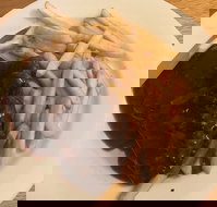 Mount Pleasant Hotel Motel - Accommodation VIC