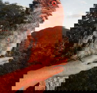 Cafe Anywhere - Accommodation VIC