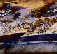 Driftwood Cafe - Accommodation VIC