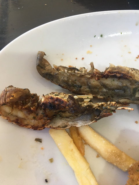 Jacobs Well Bayside Tavern - Accommodation VIC 1