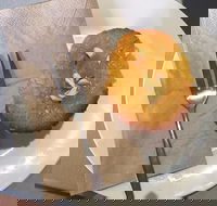 New Leaf Cafe Murwillumbah - Accommodation VIC