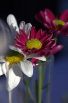 Woodlands Of Marburg - Accommodation VIC 4