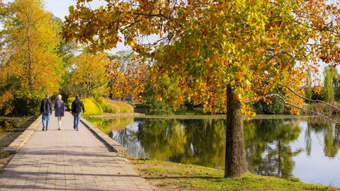 Crowne Plaza Canberra - Accommodation VIC 17